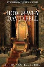 How And Why David Fell