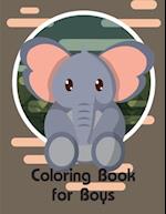 Coloring Book for Boys