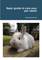 Basic guide to care your pet rabbit 