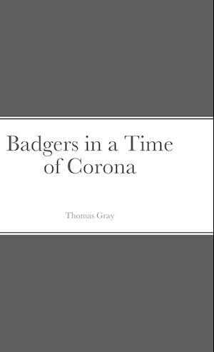 Badgers in a Time of Corona