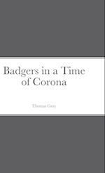 Badgers in a Time of Corona 