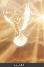 Not Knowing But Knowing