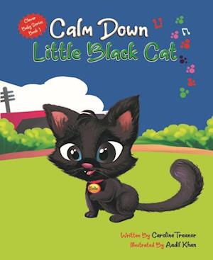 Calm Down Little Black Cat: Clever Baby Series