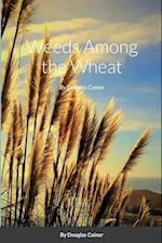 Weeds Among the Wheat 