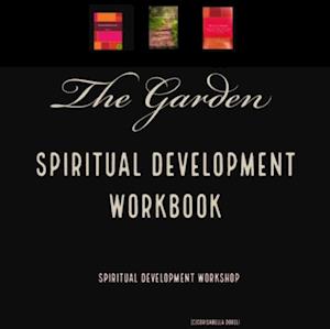 Spiritual Vibe Development Workbook