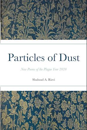 Particles of Dust