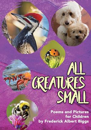 All Creatures Small