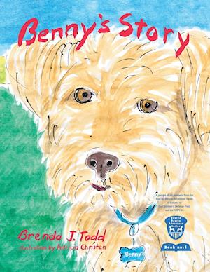 Benny Story (Paperback)