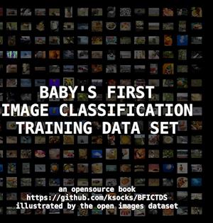 Baby's First Image Classification Training Data Set