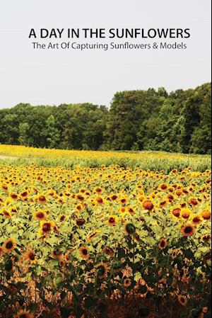 A day in the sunflowers