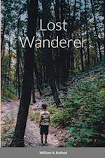 Lost wanderer 