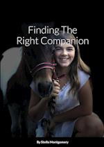 Finding The Right Companion 