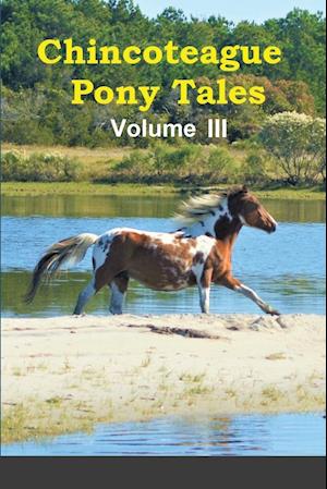 Chincoteague Pony Tales