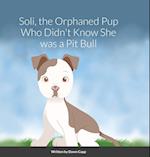 Soli, The Orphaned Pup Who Didn't Know She was a Pit Bull 