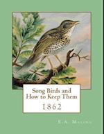 Song Birds and How to Keep Them