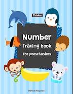 Letter Tracing Books for Pre Schoolers