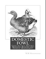 Domestic Fowl