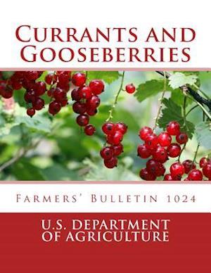 Currants and Gooseberries