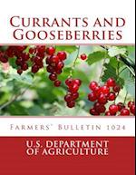 Currants and Gooseberries