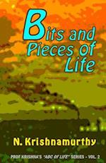 Bits and Pieces of Life