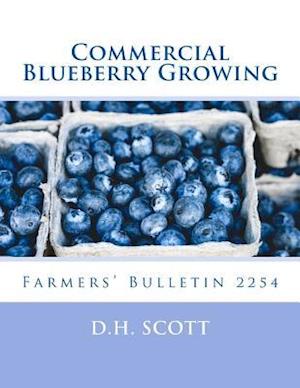 Commercial Blueberry Growing