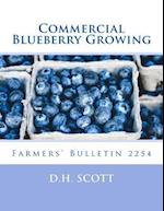 Commercial Blueberry Growing