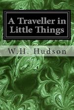 A Traveller in Little Things