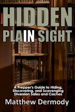 Hidden In Plain Sight: A Prepper's Guide to Hiding, Discovering, and Scavenging Diversion Safes and Caches 