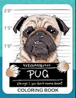 Pug Coloring Book