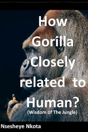 How Gorilla Closely Related to Human?