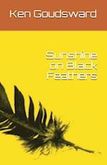 Sunshine on Black Feathers