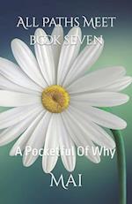 All Paths Meet - Book Seven: A Pocketful Of Why 