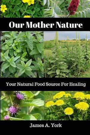 Our Mother Nature: Your Natural Food Source For Healing