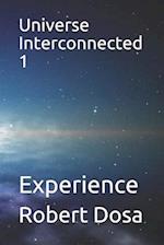 Universe Interconnected 1