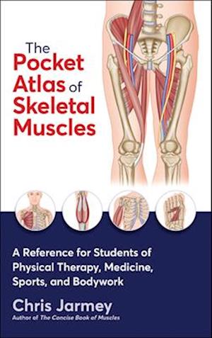 The Pocket Atlas of Skeletal Muscles