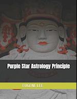 Purple Star Astrology Principle