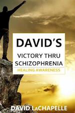 David's Victory Thru Schizophrenia: Healing Awareness 