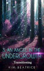 An Angel In The Undergrowth: Transitioning 