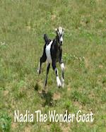 Nadia the Wonder Goat
