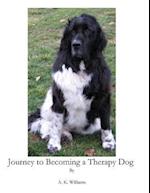 Journey to Becoming a Therapy Dog