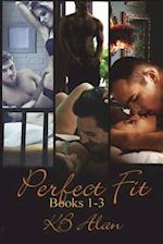 Perfect Fit Books 1-3