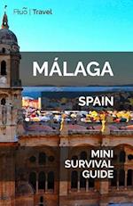 Málaga Mini Survival Guide