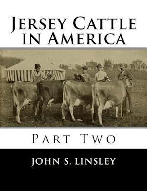 Jersey Cattle in America