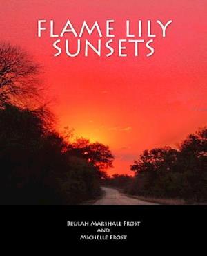Flame Lily Sunsets