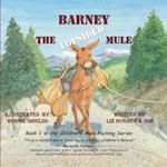 Barney the Lopsided Mule