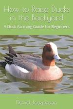 How to Raise Ducks in the Backyard: A Duck Farming Guide for Beginners 