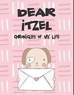 Dear Itzel, Chronicles of My Life