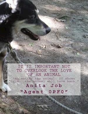 It Is Important Not to Overlook the Love of an Animal