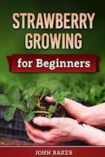 Strawberry Growing for Beginners