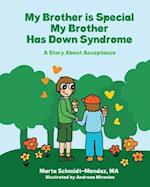 My Brother Is Special My Brother Has Down Syndrome